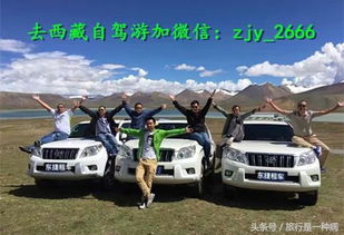 川藏線租車自駕游是否需要購買保險？